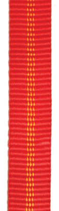 Dutý popruh
