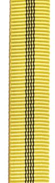 Dutý popruh