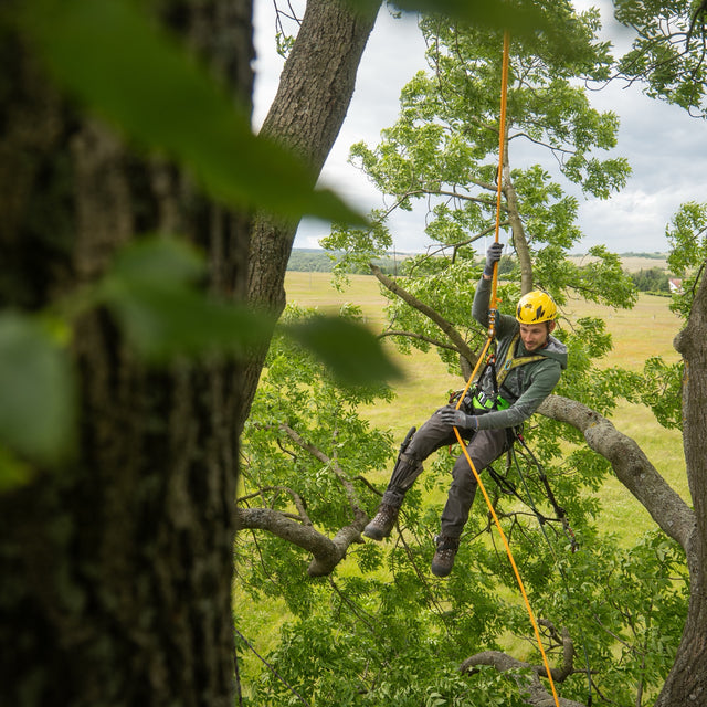 Arboristické lano Timber EVO 12.5 oranžová/žlutá